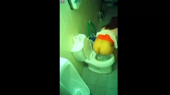 15379136 Employee toilet 02, Voyeur Collection, PissRIP