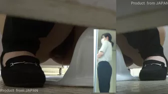 15391150 HD Japanese Toilet Style.288, Hidden-Zone WC, PissRIP