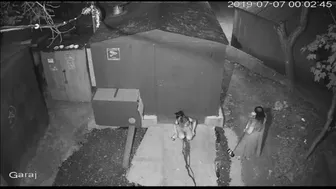 Russian Clubbers Take a Pissy Behind Shed, Voyeur Collection, PissRIP
