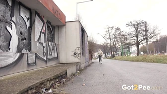 Messy Public Pee