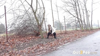 Pausing To Pee