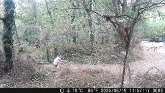 Public Voyeur Pissing Compilation 02