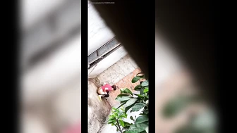 Public Voyeur Pissing Compilation 15