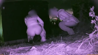 Rock Festival at Night 0008, , PissRIP