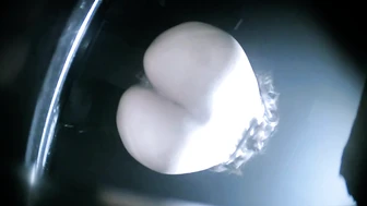 Beauties Galore (Part 5)