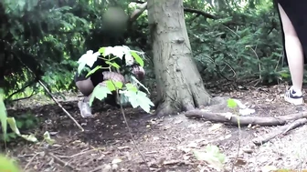 Street Festival Summary 0232