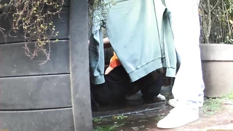 Street Festival Summary 0234