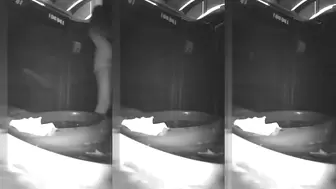night vision bio toilet, Wandering Voyeur, PissRIP